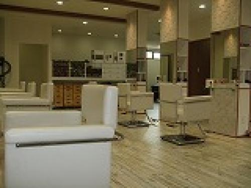 Artist��Salon��SHOW�Ͳ�������