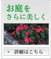 お庭を更に美しく